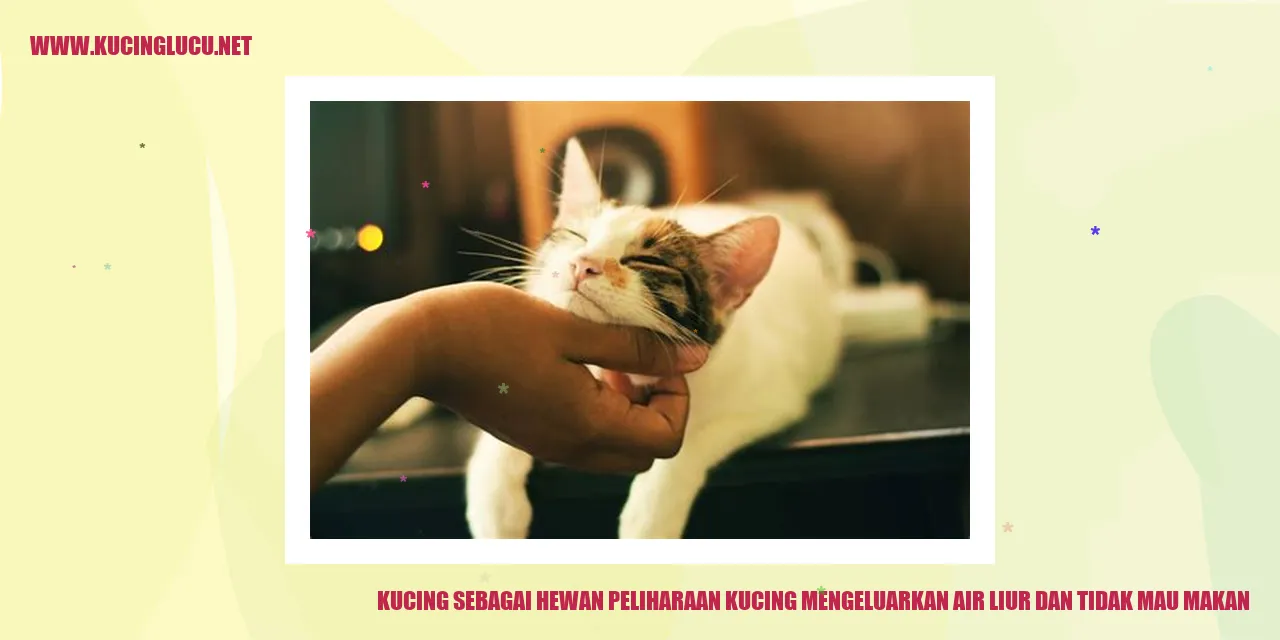 Gambar Kucing sebagai Hewan Peliharaan