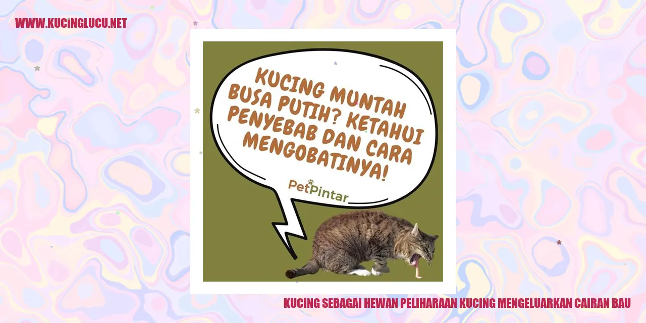 Kucing Mengeluarkan Cairan Bau