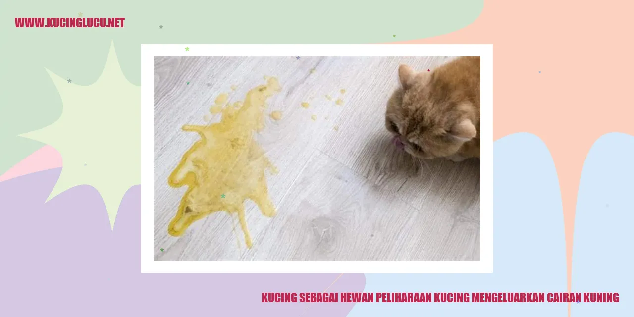 Gambar Kucing Mengeluarkan Cairan Kuning