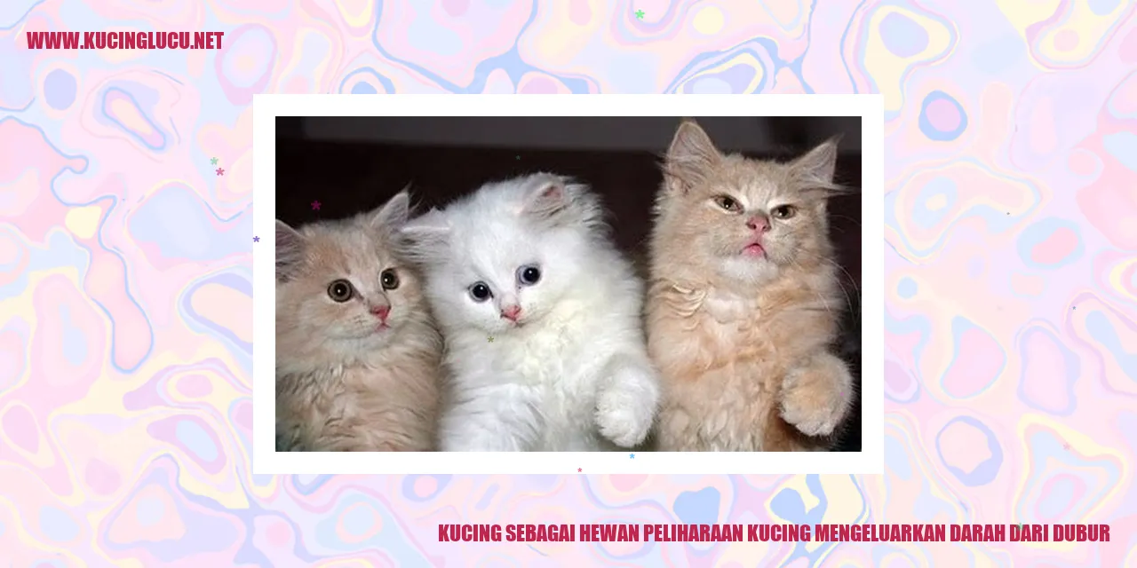 Gambar Kucing