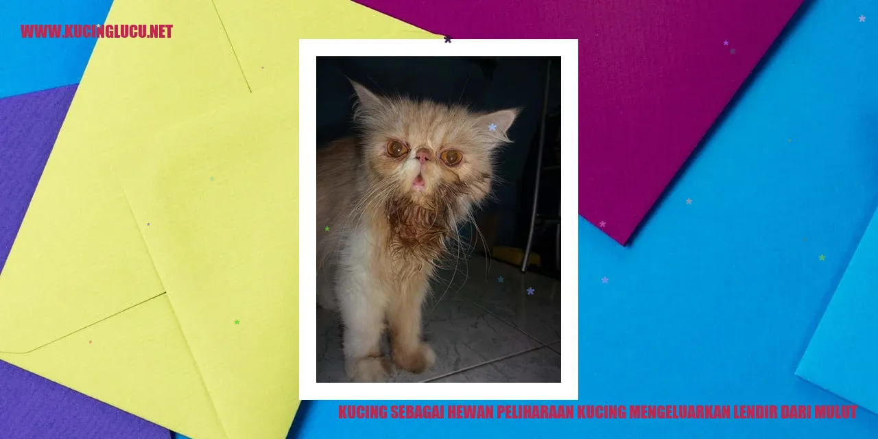 Gambar Kucing