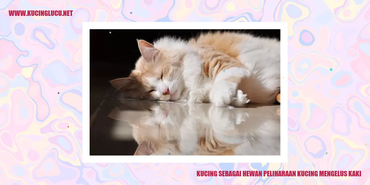 Kucing Mengelus Kaki
