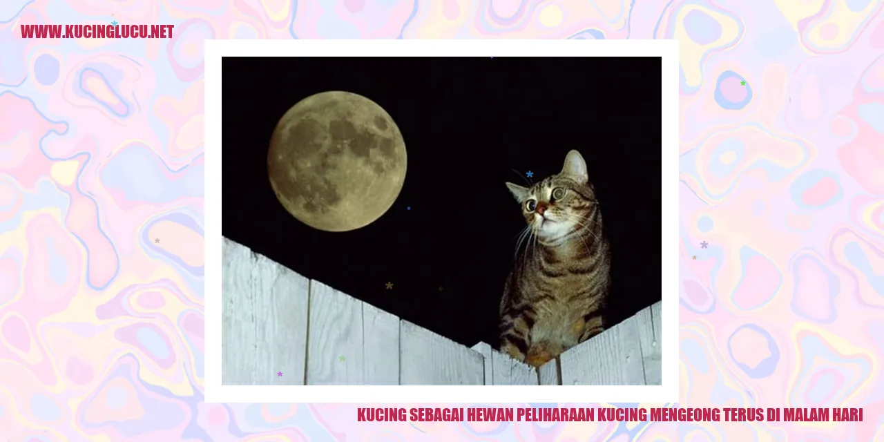 Potret Menggemaskan Kucing