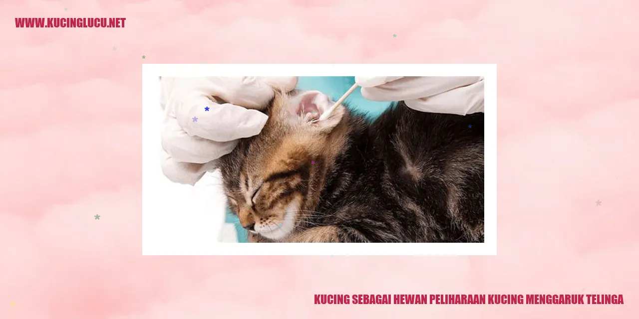 Kucing menggaruk telinga