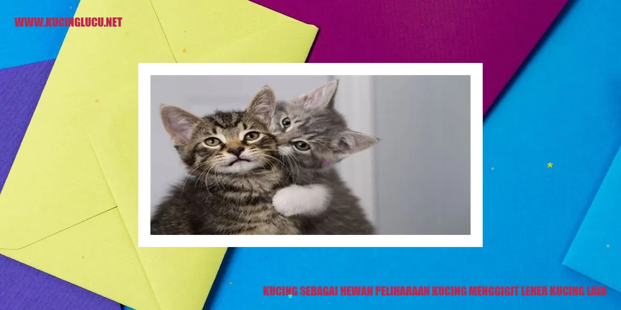 Kucing Sebagai Hewan Peliharaan