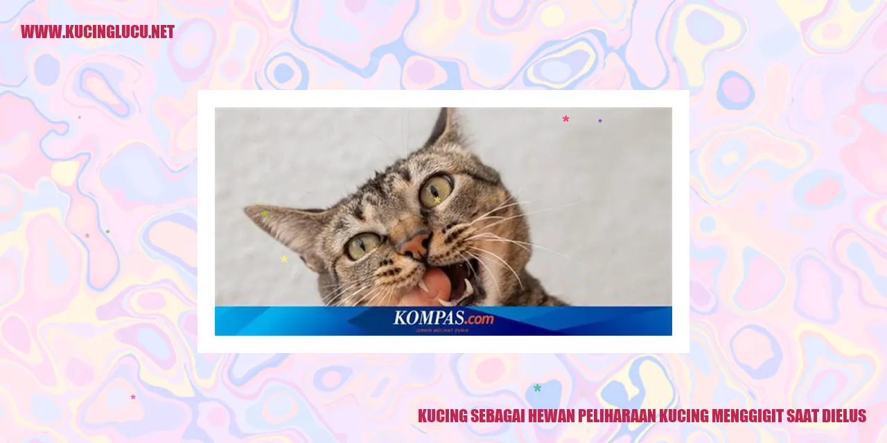 Ilustrasi Kucing Menggigit saat Disentuh