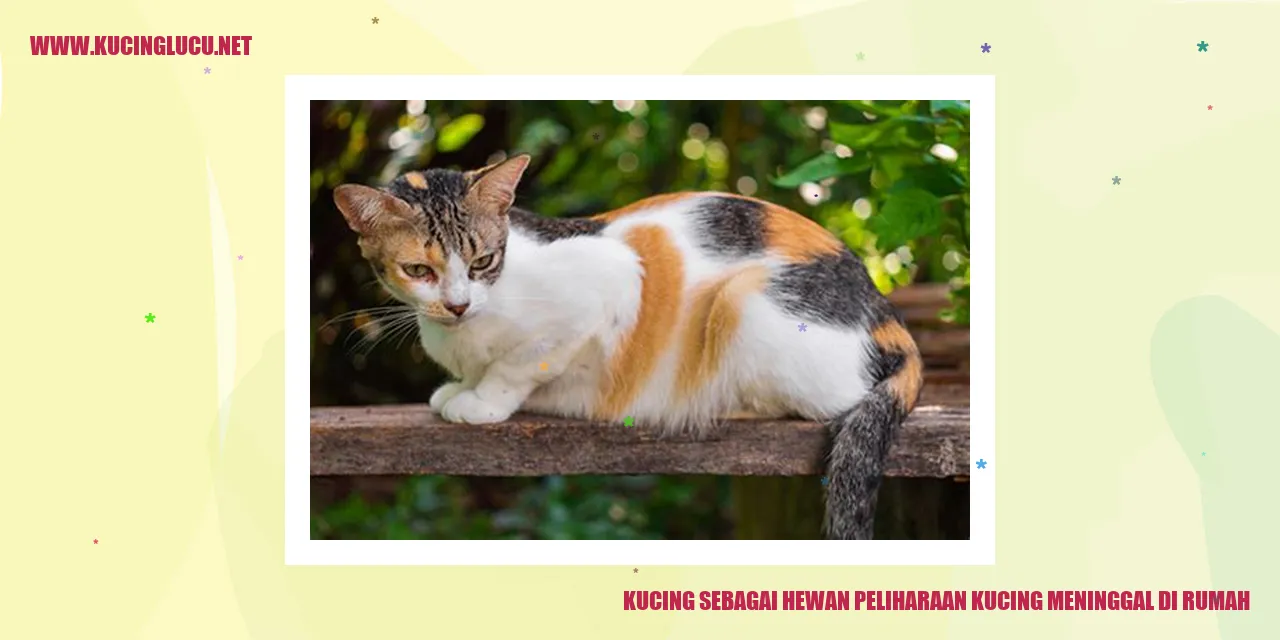 Kucing sebagai Hewan Peliharaan