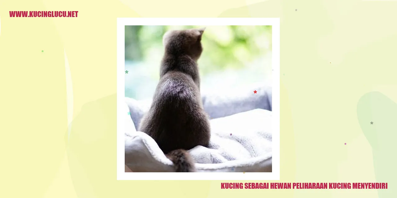 Gambar Kucing
