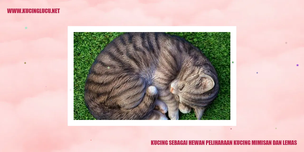 Kucing sebagai Hewan Peliharaan