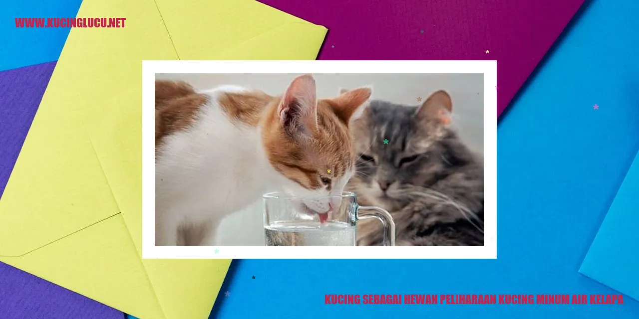 Gambar Kucing Minum Air Kelapa