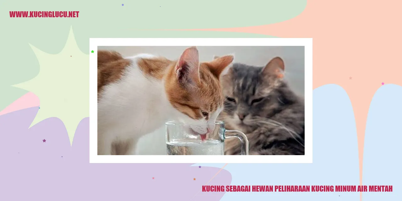 Kebiasaan Kucing Minum Air Mentah