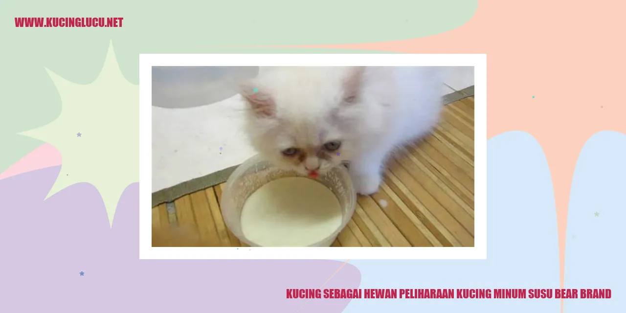 Gambar: Kucing sebagai Hewan Peliharaan kucing minum susu Bear Brand
