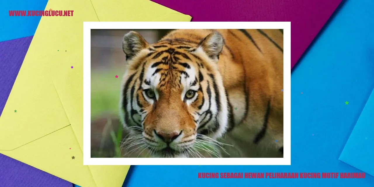 Kucing motif harimau