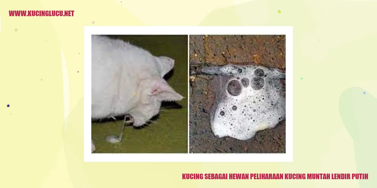 Gambar Kucing Muntah Lendir Putih