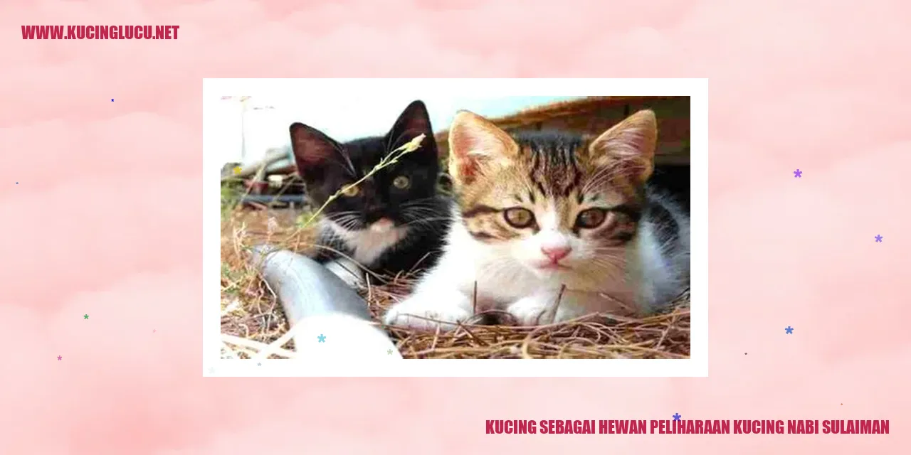 Kucing sebagai Hewan Peliharaan