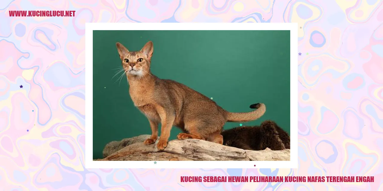 gambar kucing bernafas kaget-kaget