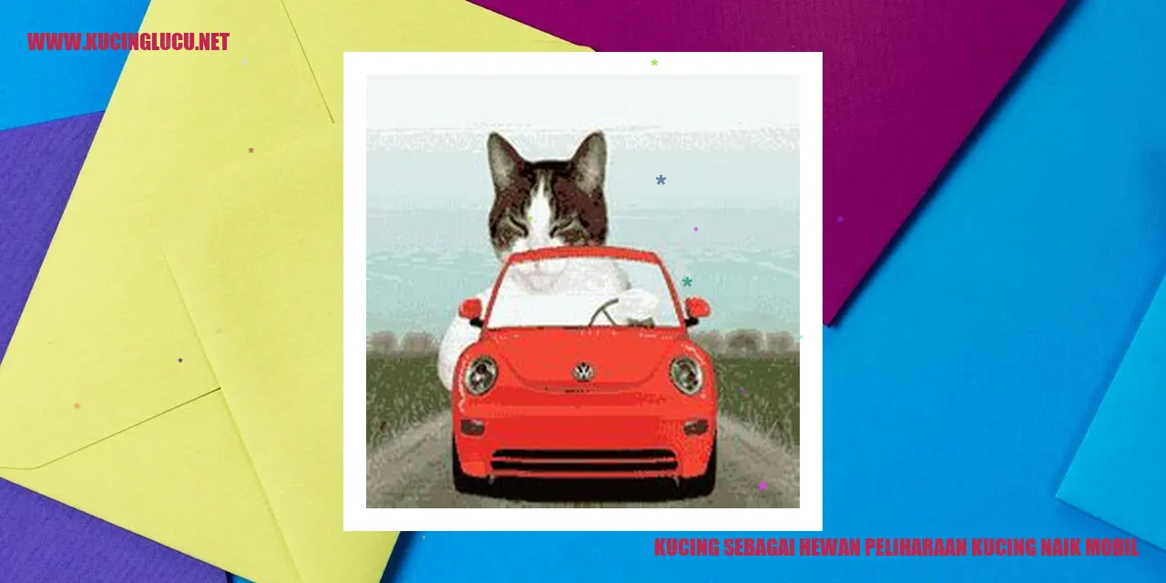 Kucing naik mobil