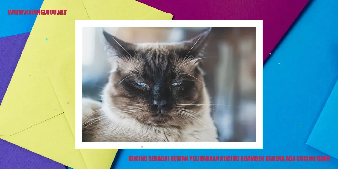 Kucing sedang ngambek