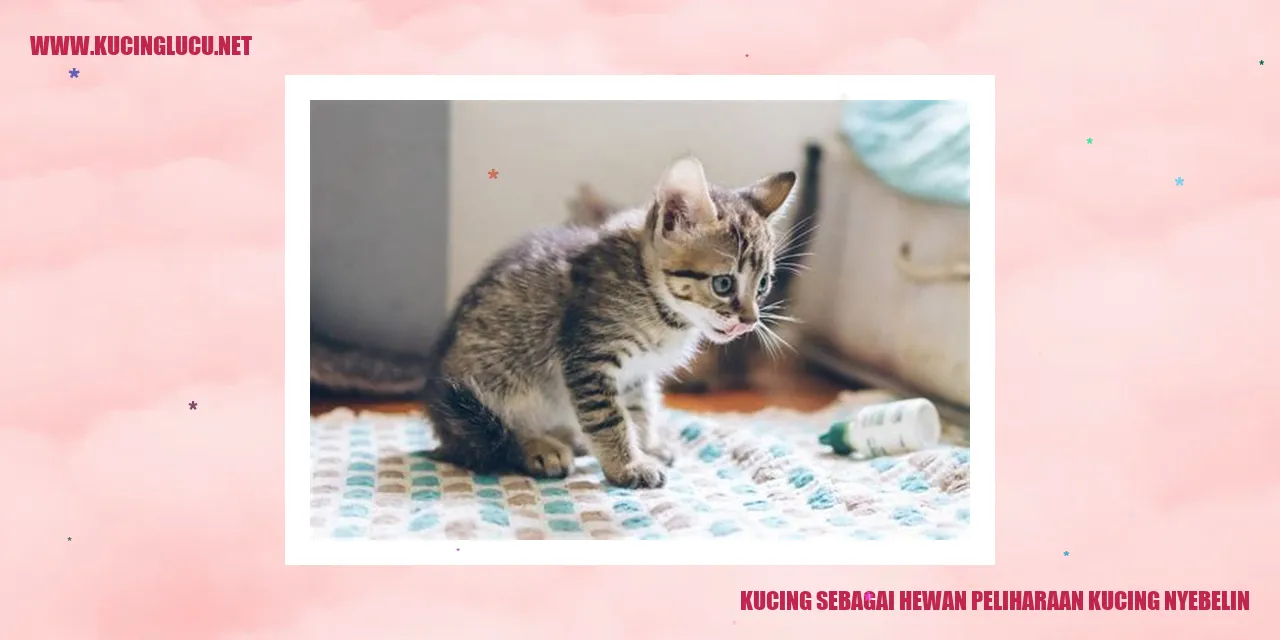 Kucing Menggigit