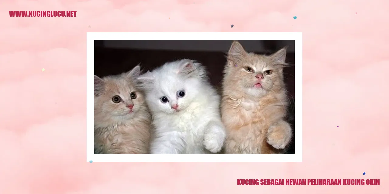 Keunikan Kucing