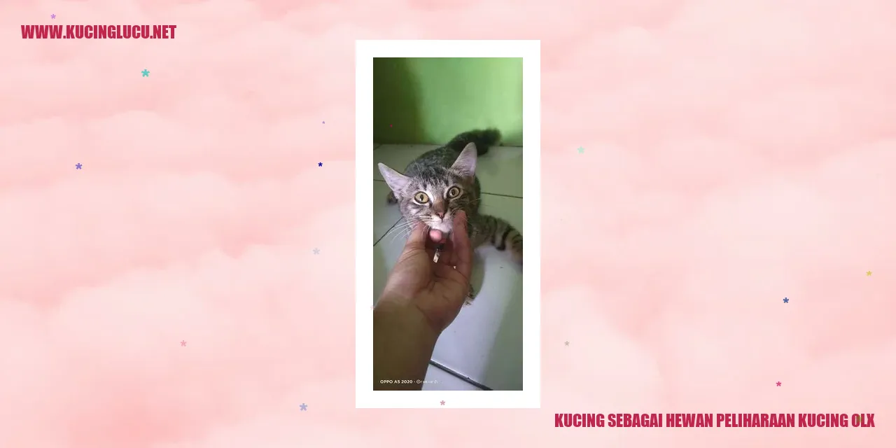 Kucing sebagai Hewan Peliharaan di OLX