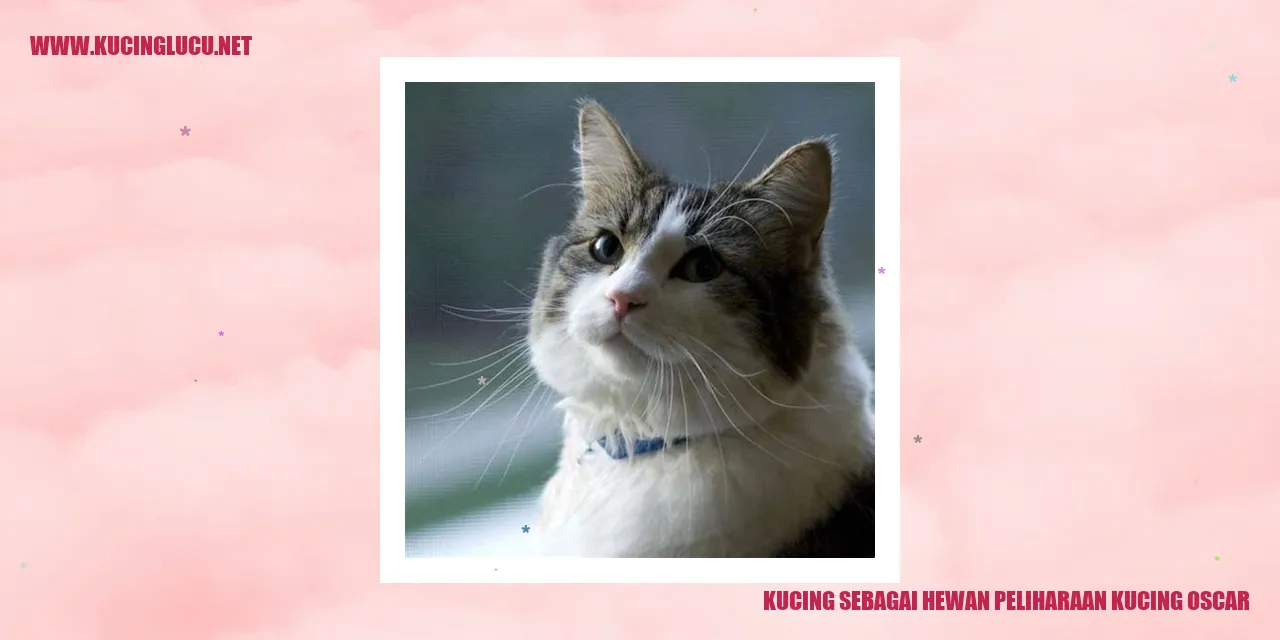 Kucing Oscar