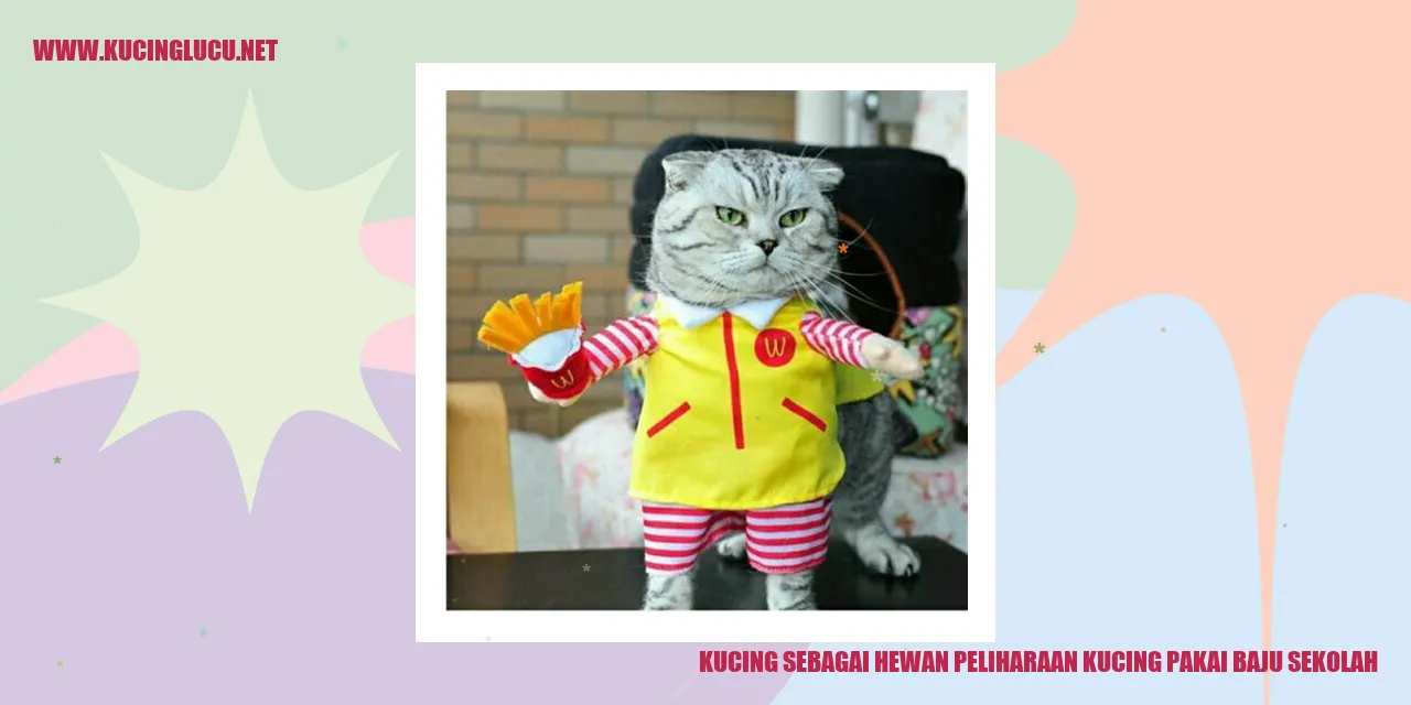 kucing pakai baju sekolah