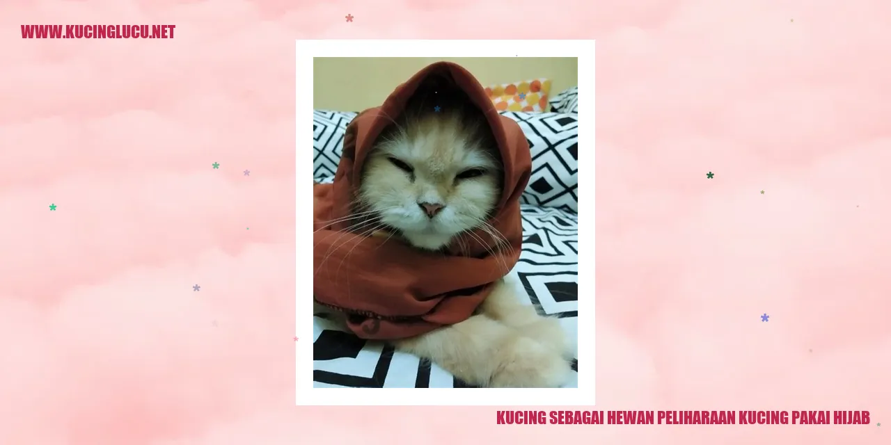 Kucing Pakai Hijab yang Menggemaskan
