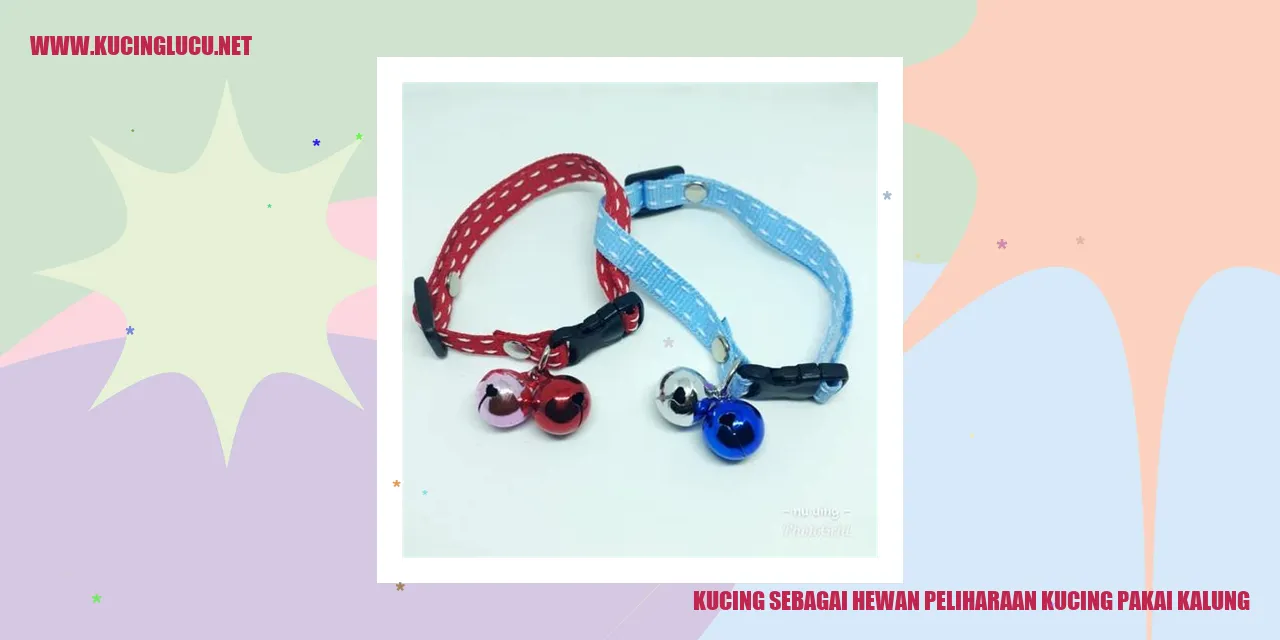 Foto menggemaskan kucing dengan kalung