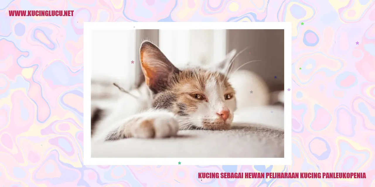 Kucing sebagai Hewan Peliharaan Kucing Panleukopenia