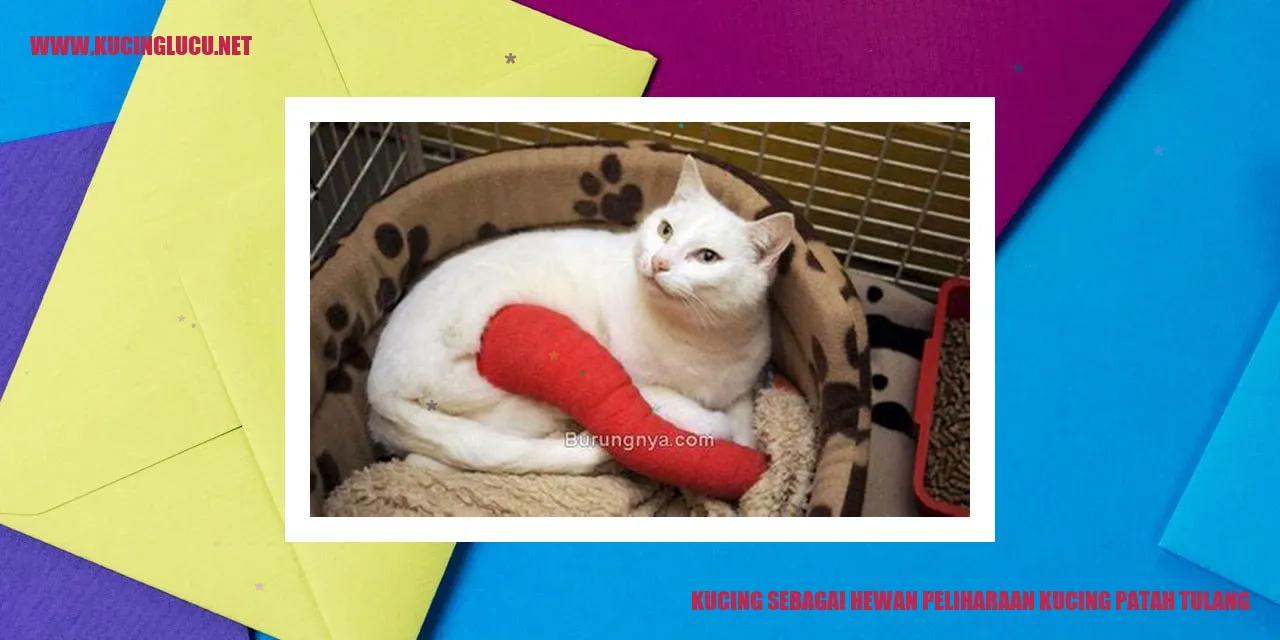 gambar kucing sedang beristirahat