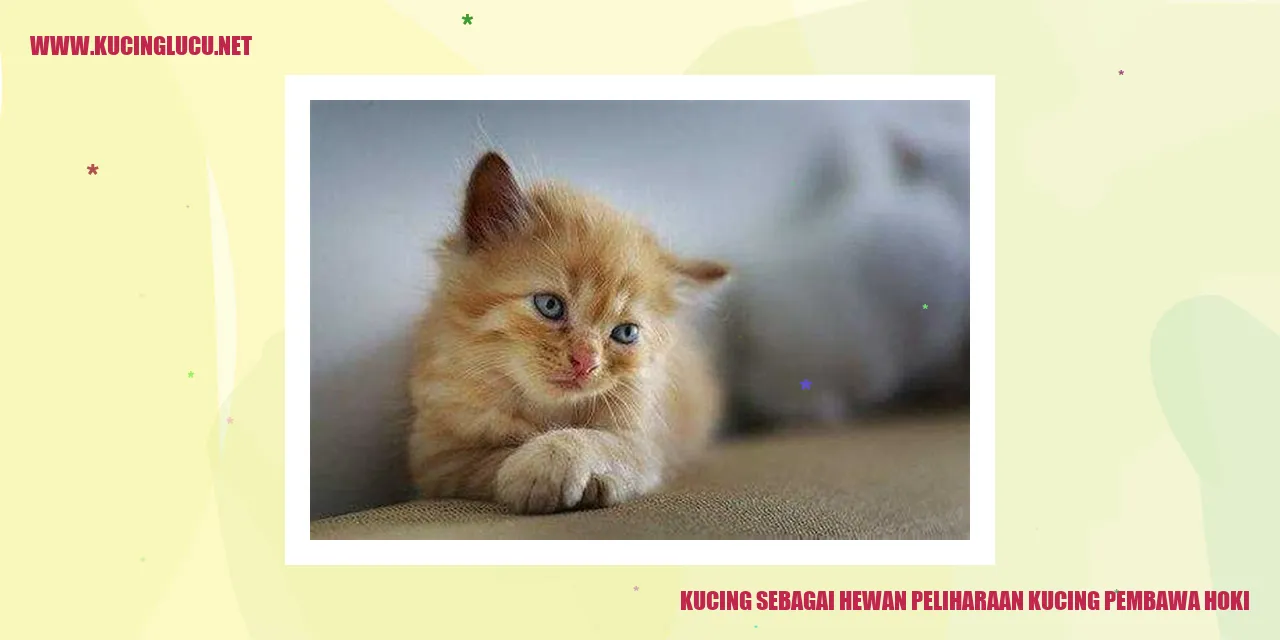 Kucing sebagai Hewan Peliharaan kucing pembawa hoki