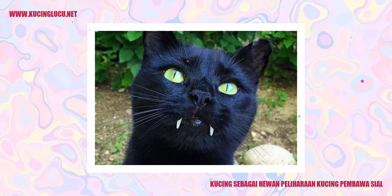 Kehadiran Kucing dalam Hidup Kita