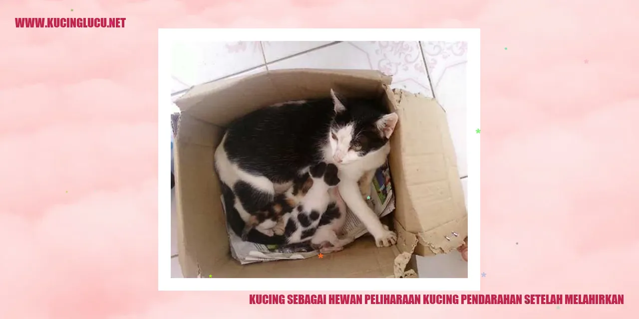 Kucing Betina yang Baru Melahirkan
