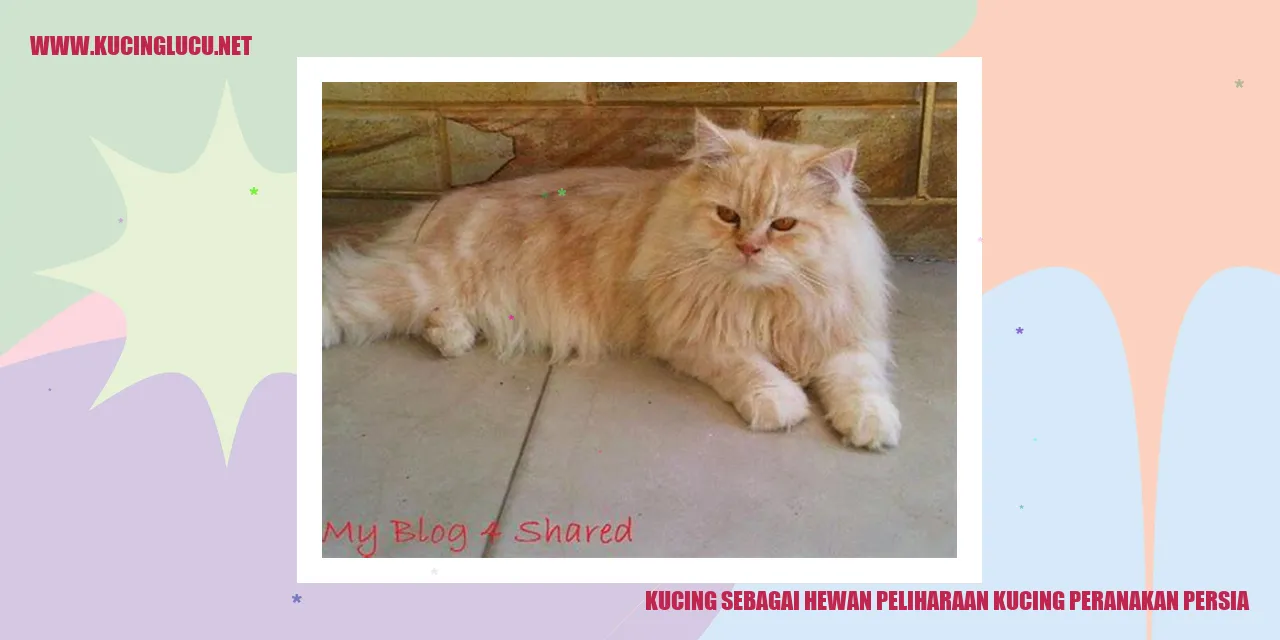 Kucing peranakan persia