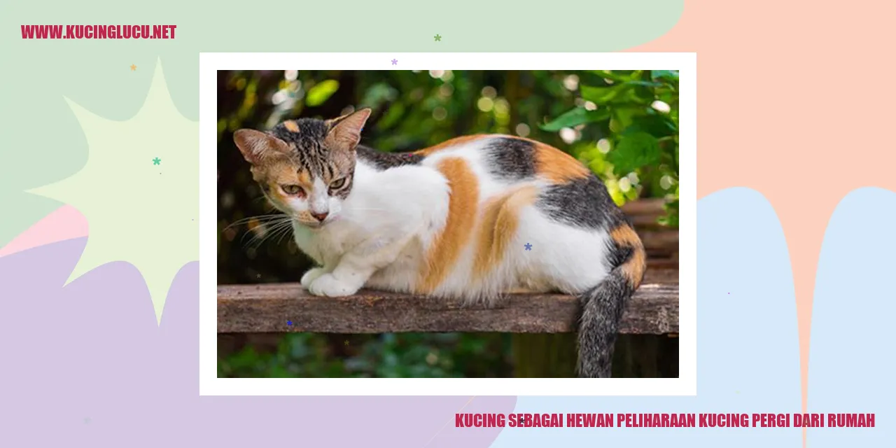 Keunikan Kucing sebagai Hewan Peliharaan