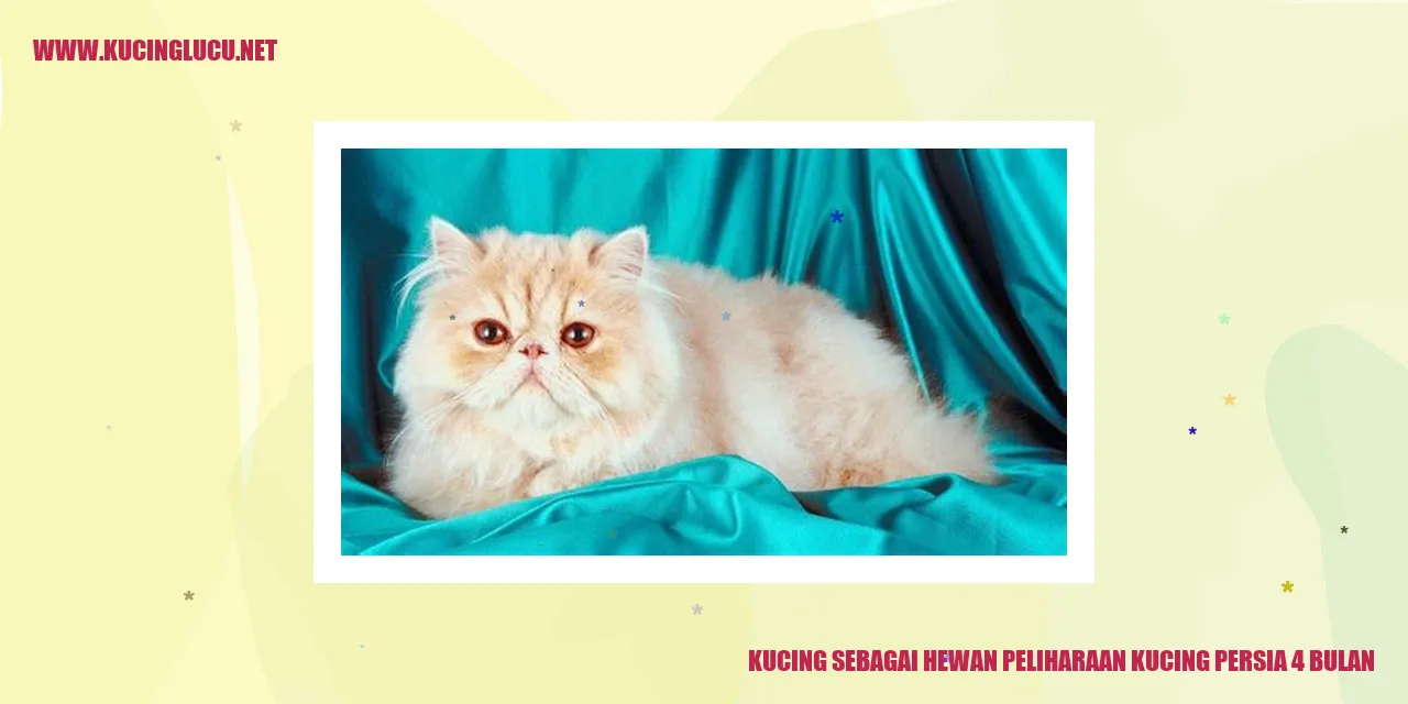 Potret Menggemaskan Kucing Persia 4 Bulan