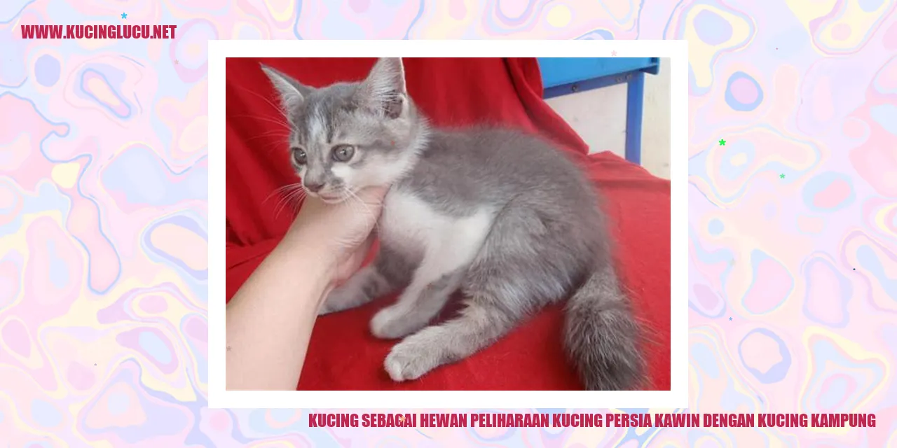 Kucing sebagai Hewan Peliharaan