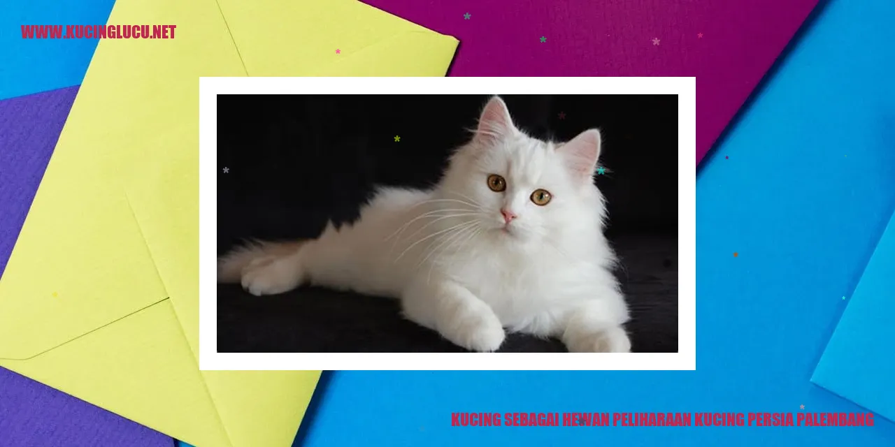 Kucing Persia Palembang