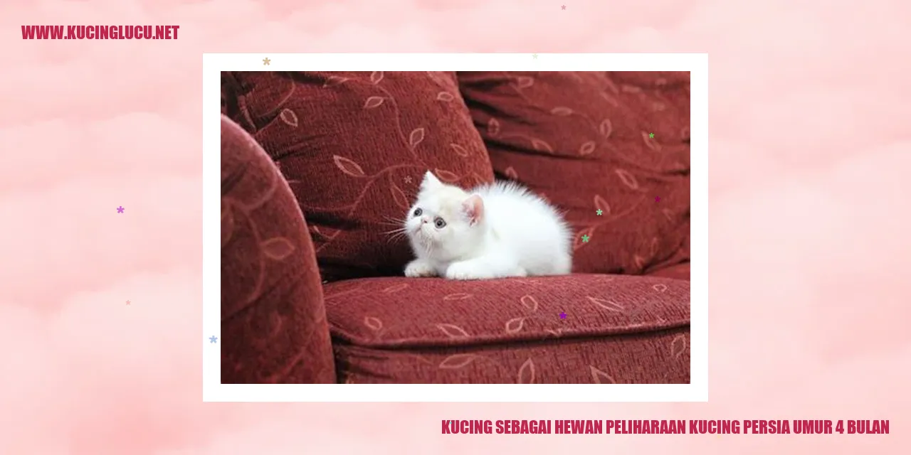 Kucing Persia