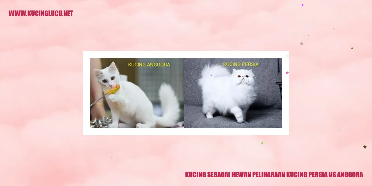 Kucing Persia dan Anggora