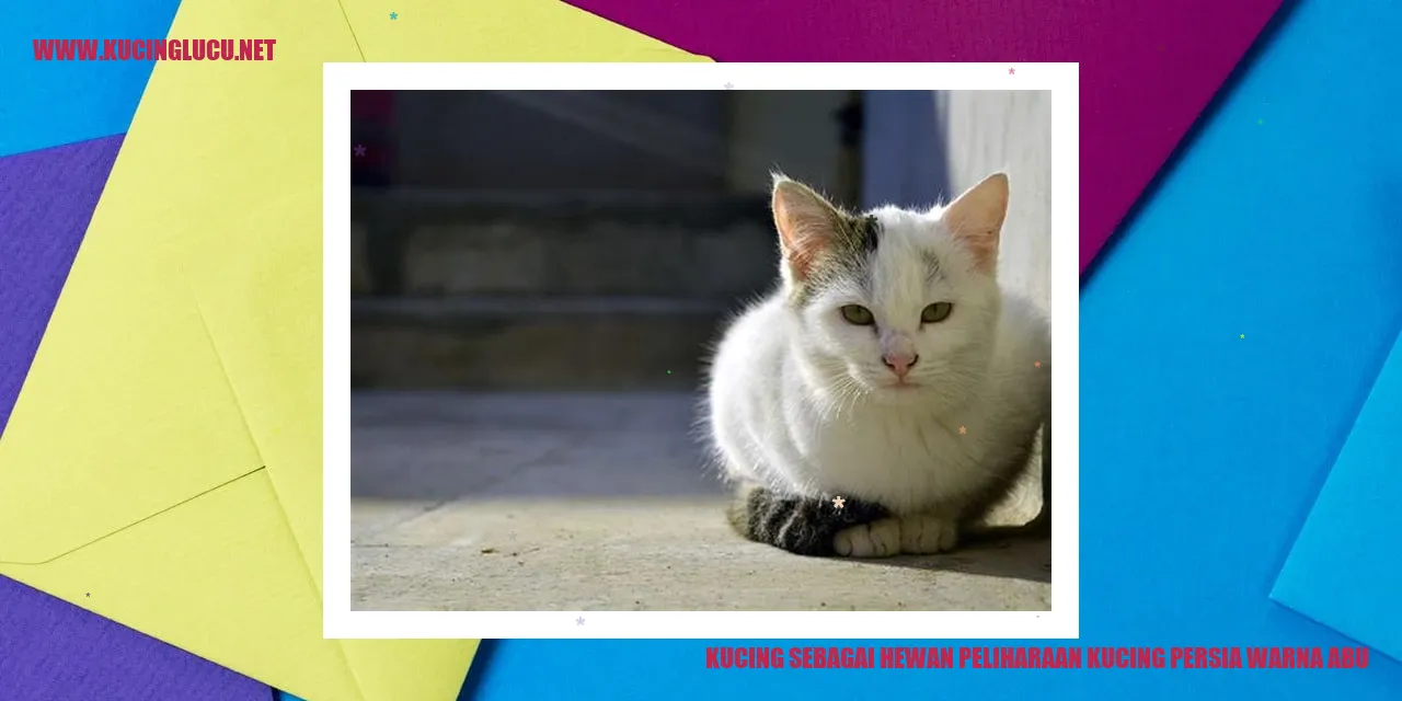 Kucing Persia dengan Mantel Abu-Abu