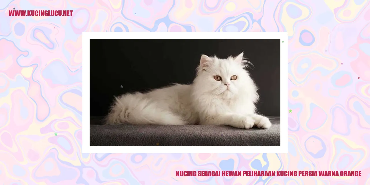 Kucing Persia Berwarna Oranye
