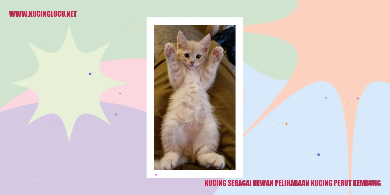 Kucing sebagai Hewan Peliharaan kucing perut kembung