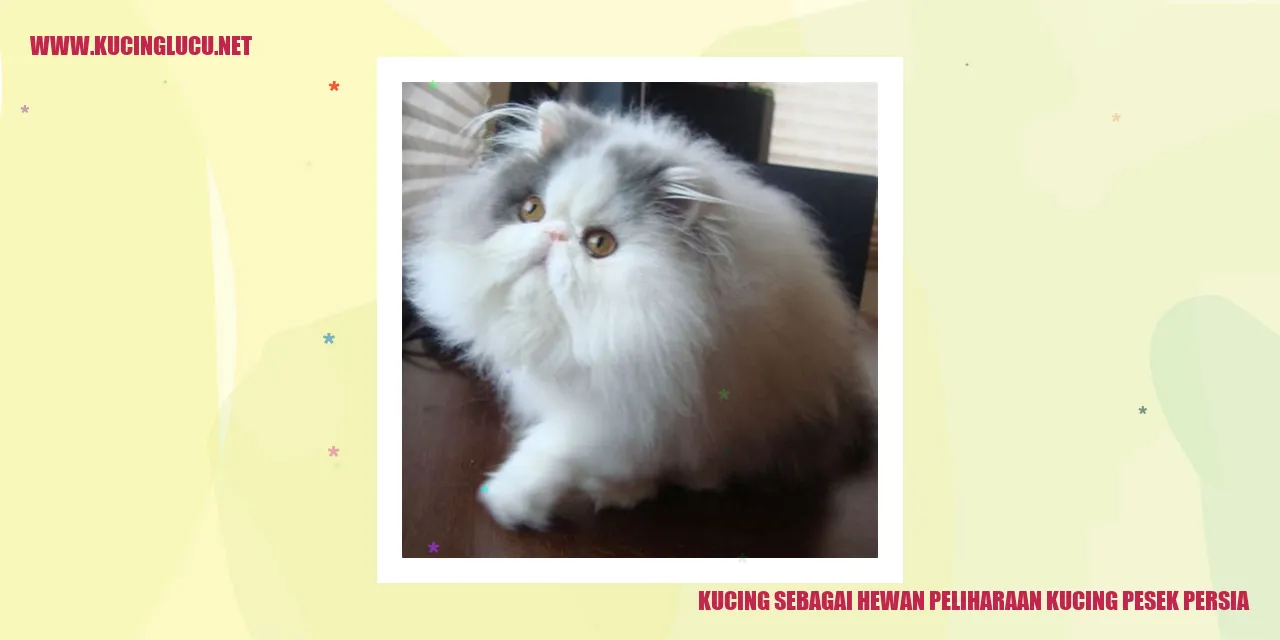 Kucing persia