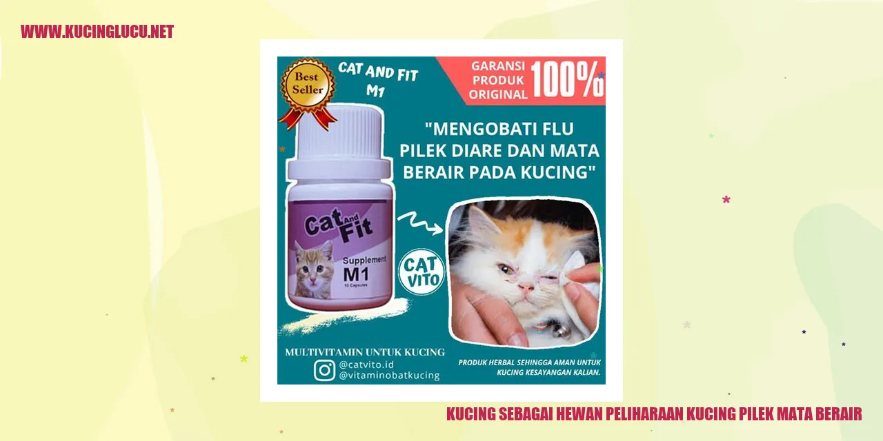 Masalah mata kucing