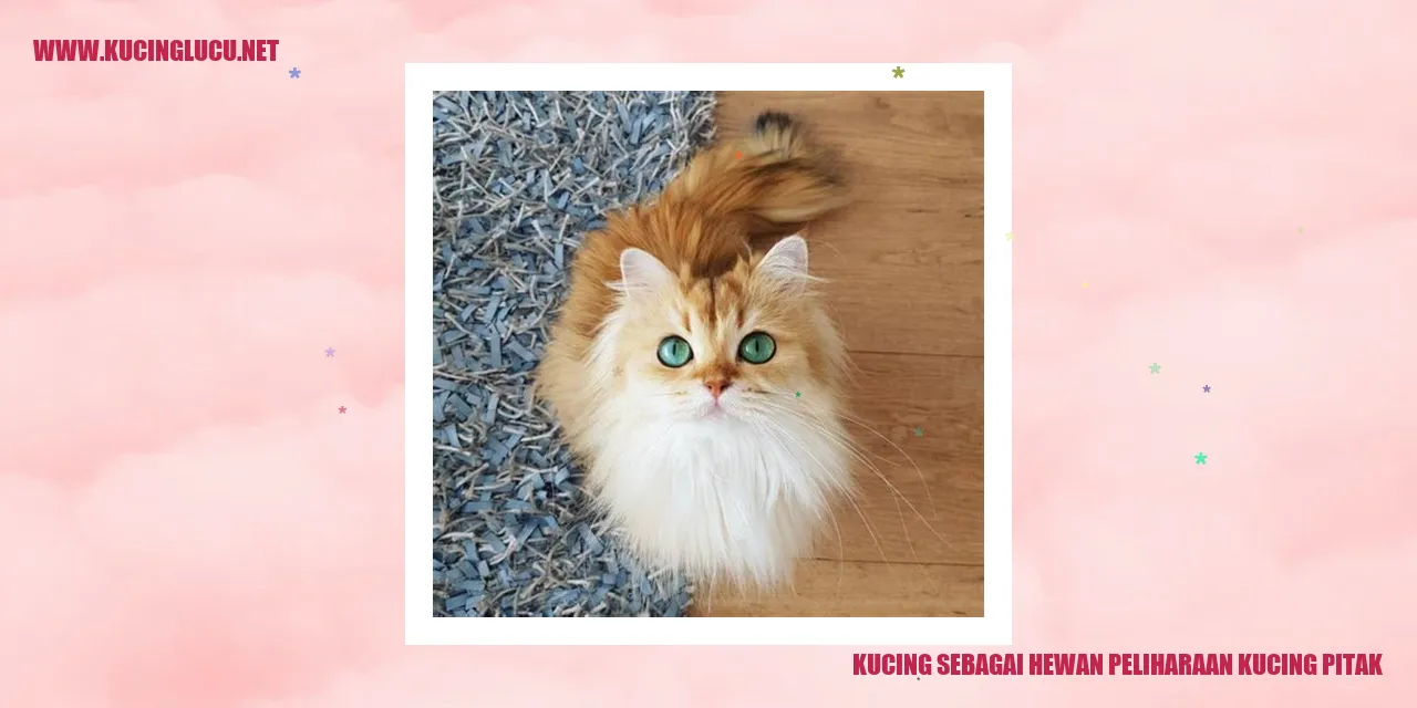 Gambar Kucing Pitak