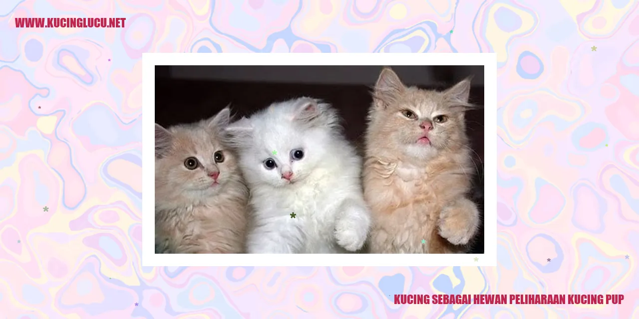 Gambar kucing peliharaan