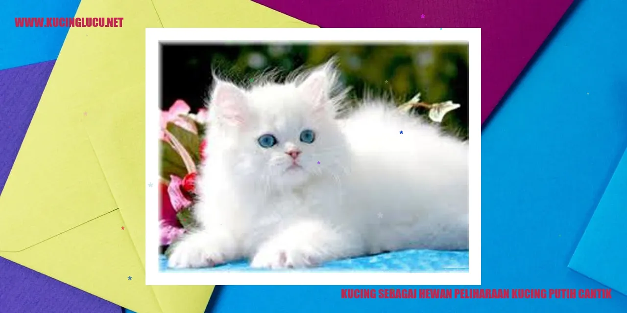 Kucing Putih yang Cantik