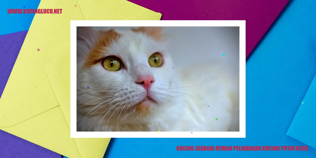 Gambar Kucing Putih Mungil
